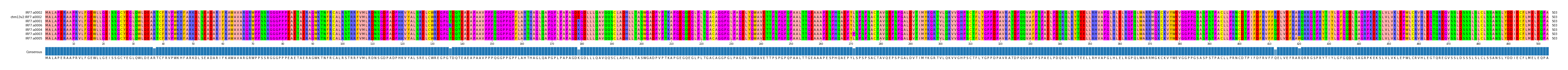 Multiple Alignments (by translate haplotype similarity)