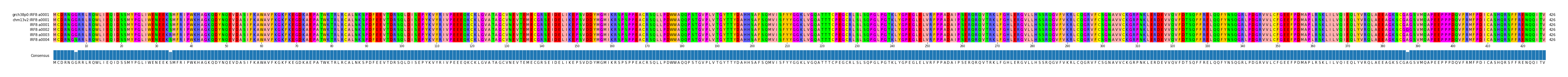 Multiple Alignments (by translate haplotype frequency)