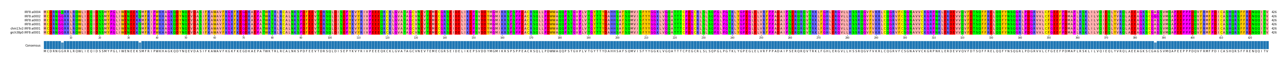 Multiple Alignments (by translate haplotype similarity)