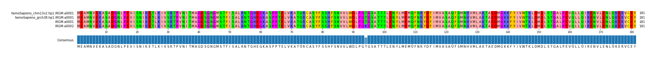 Multiple Alignments (by translate haplotype similarity)