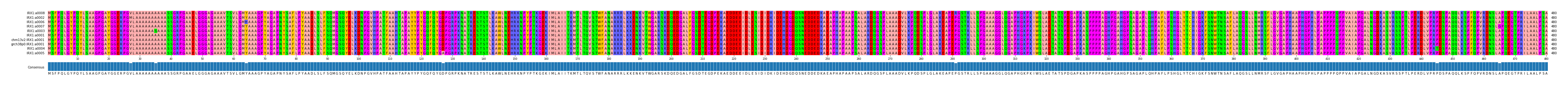 Multiple Alignments (by translate haplotype similarity)