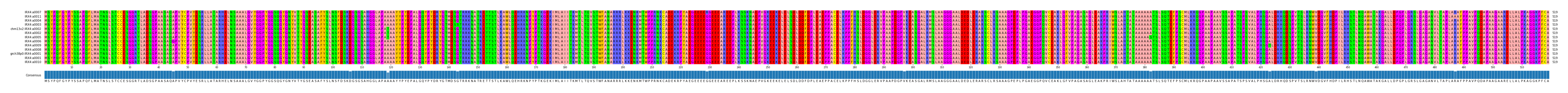 Multiple Alignments (by translate haplotype similarity)