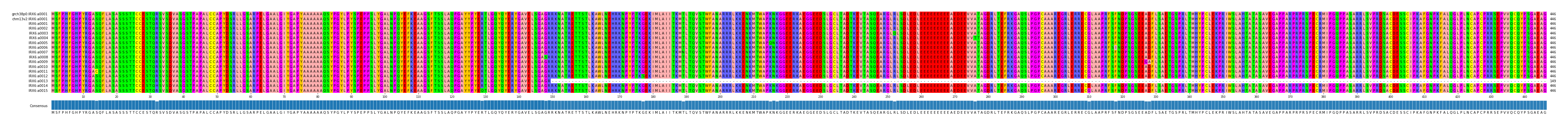 Multiple Alignments (by translate haplotype frequency)