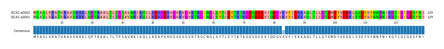Multiple Alignments (by translate haplotype similarity)