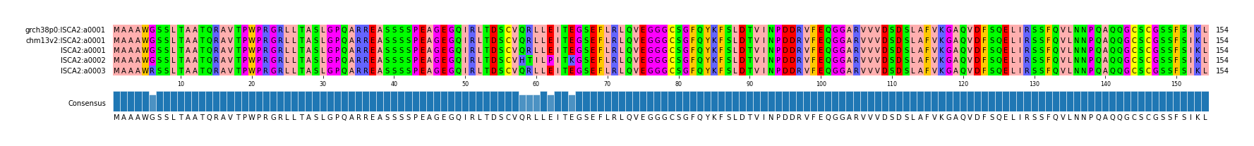 Multiple Alignments (by translate haplotype frequency)