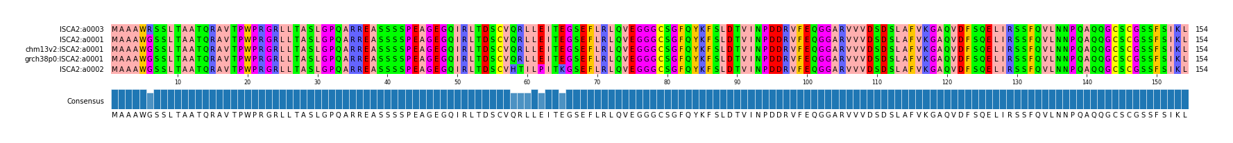 Multiple Alignments (by translate haplotype similarity)
