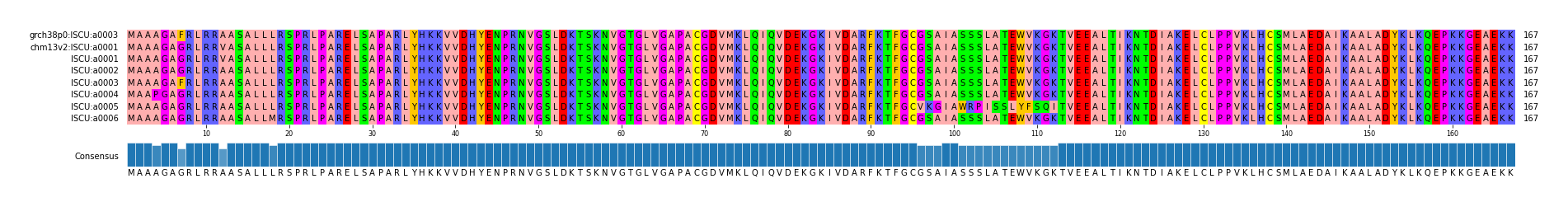 Multiple Alignments (by translate haplotype frequency)