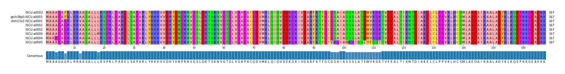 Multiple Alignments (by translate haplotype similarity)