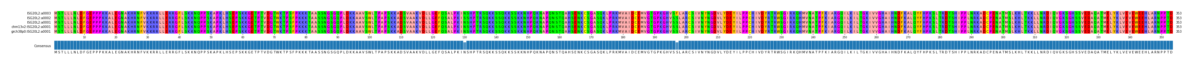 Multiple Alignments (by translate haplotype similarity)