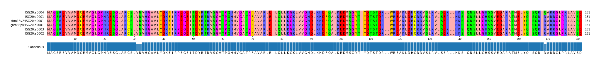 Multiple Alignments (by translate haplotype similarity)