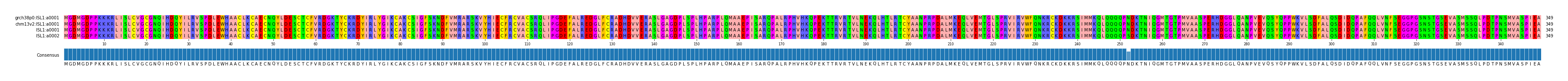 Multiple Alignments (by translate haplotype similarity)