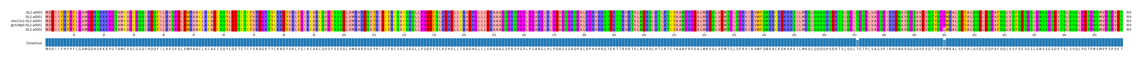 Multiple Alignments (by translate haplotype similarity)