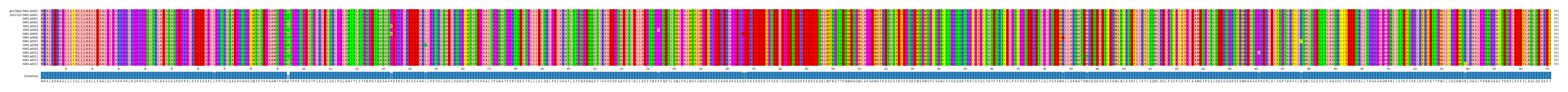 Multiple Alignments (by translate haplotype frequency)