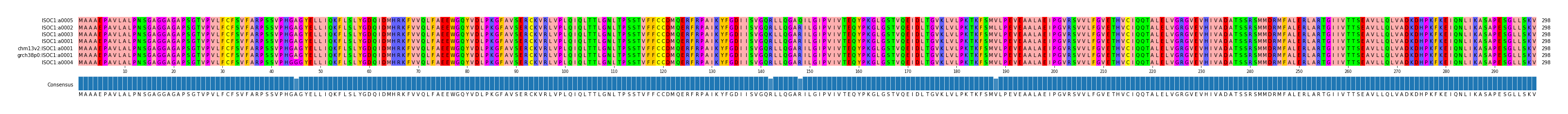 Multiple Alignments (by translate haplotype similarity)