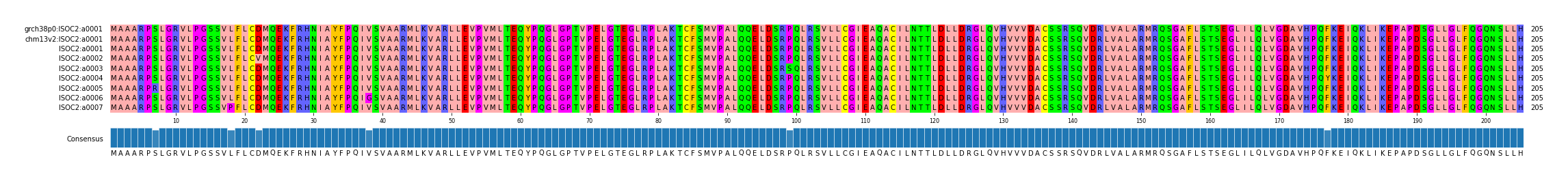 Multiple Alignments (by translate haplotype frequency)