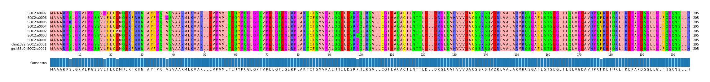 Multiple Alignments (by translate haplotype similarity)