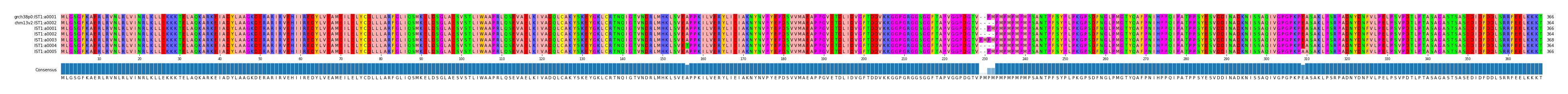 Multiple Alignments (by translate haplotype frequency)