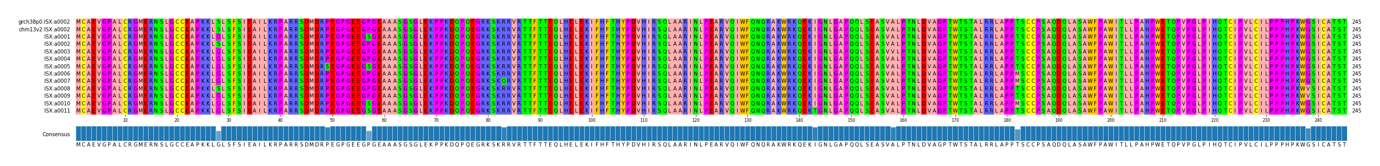 Multiple Alignments (by translate haplotype frequency)
