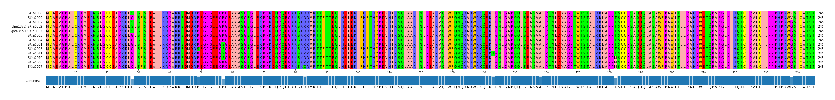 Multiple Alignments (by translate haplotype similarity)