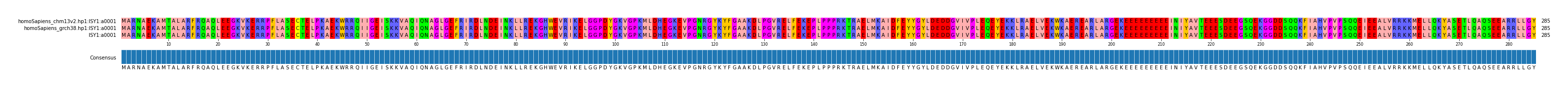 Multiple Alignments (by translate haplotype frequency)