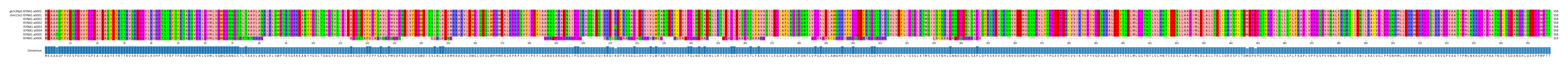 Multiple Alignments (by translate haplotype frequency)