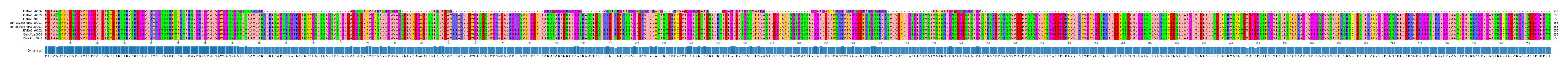 Multiple Alignments (by translate haplotype similarity)