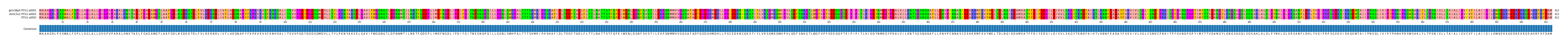 Multiple Alignments (by translate haplotype similarity)