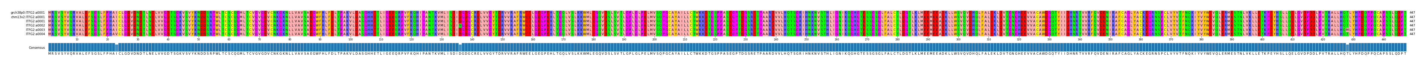 Multiple Alignments (by translate haplotype frequency)