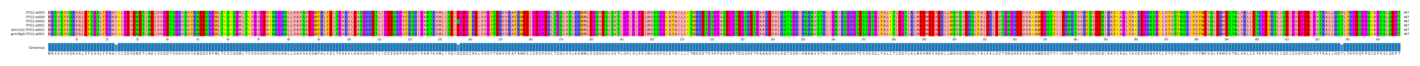Multiple Alignments (by translate haplotype similarity)