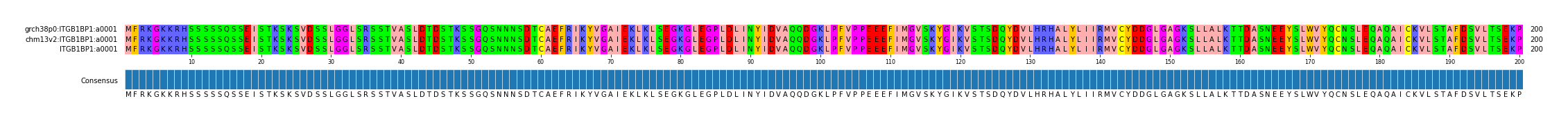 Multiple Alignments (by translate haplotype similarity)