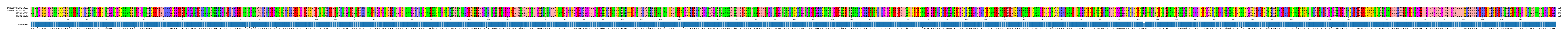Multiple Alignments (by translate haplotype frequency)