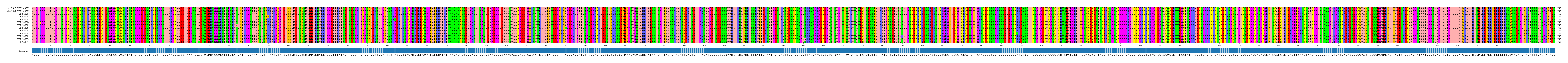 Multiple Alignments (by translate haplotype frequency)