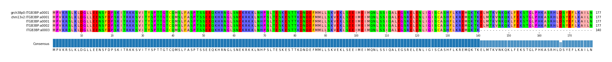Multiple Alignments (by translate haplotype frequency)