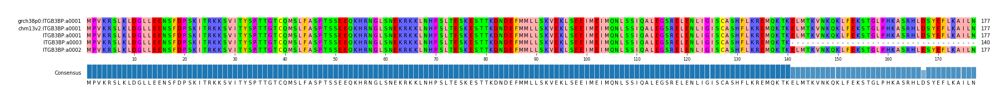 Multiple Alignments (by translate haplotype similarity)