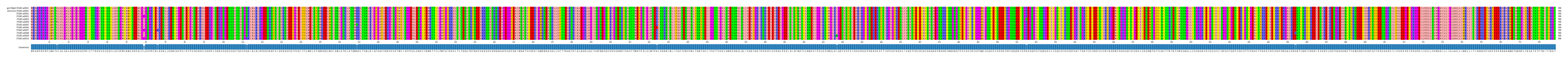 Multiple Alignments (by translate haplotype frequency)