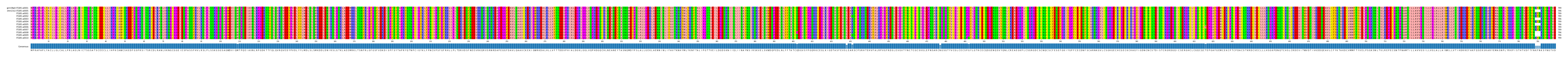 Multiple Alignments (by translate haplotype frequency)
