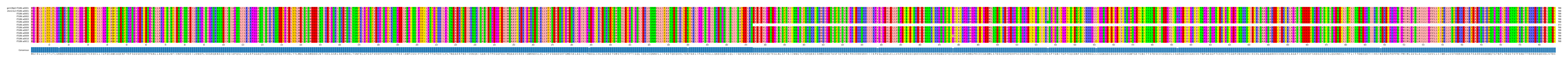 Multiple Alignments (by translate haplotype frequency)