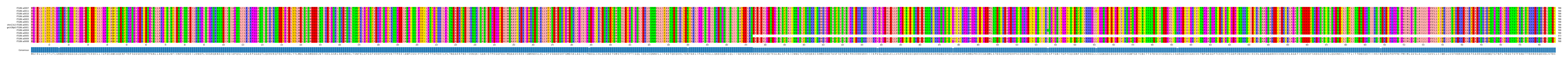 Multiple Alignments (by translate haplotype similarity)