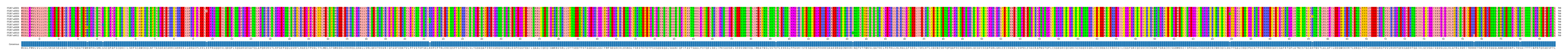 Multiple Alignments (by translate haplotype frequency)