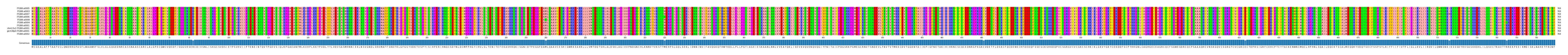 Multiple Alignments (by translate haplotype similarity)