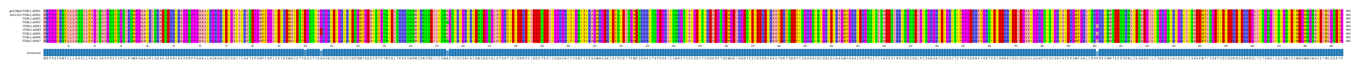 Multiple Alignments (by translate haplotype frequency)