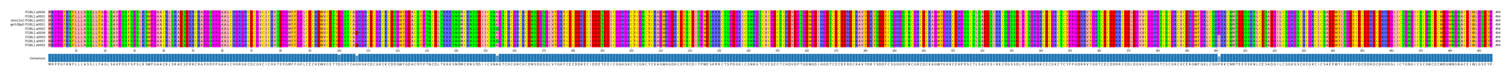 Multiple Alignments (by translate haplotype similarity)