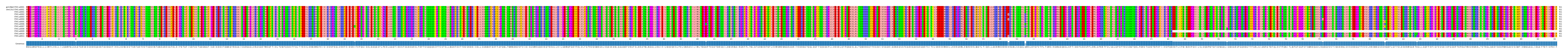 Multiple Alignments (by translate haplotype frequency)