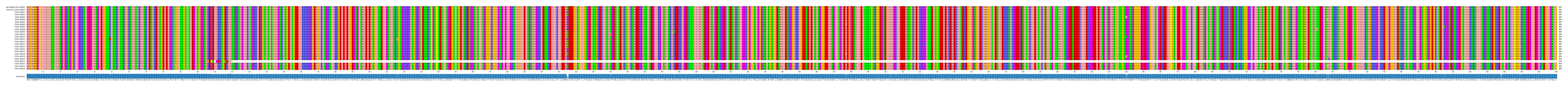 Multiple Alignments (by translate haplotype frequency)