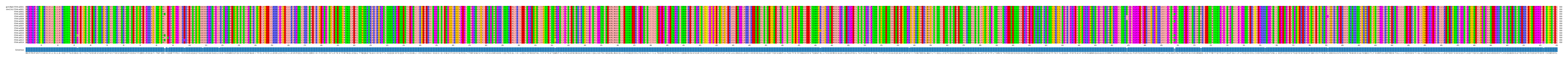 Multiple Alignments (by translate haplotype frequency)
