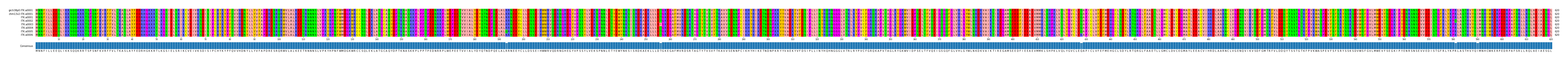 Multiple Alignments (by translate haplotype frequency)