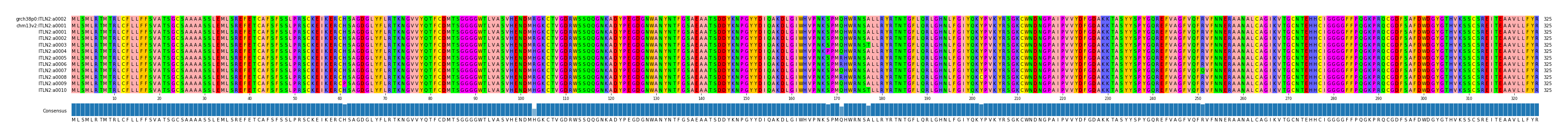 Multiple Alignments (by translate haplotype frequency)