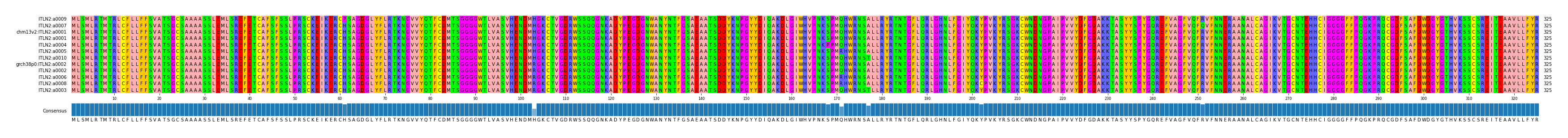Multiple Alignments (by translate haplotype similarity)