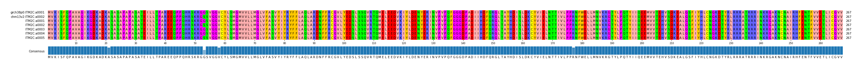 Multiple Alignments (by translate haplotype frequency)