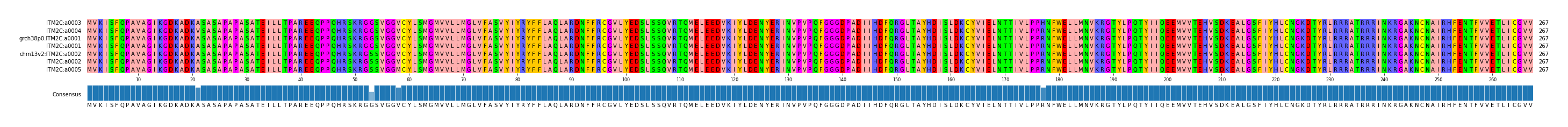 Multiple Alignments (by translate haplotype similarity)
